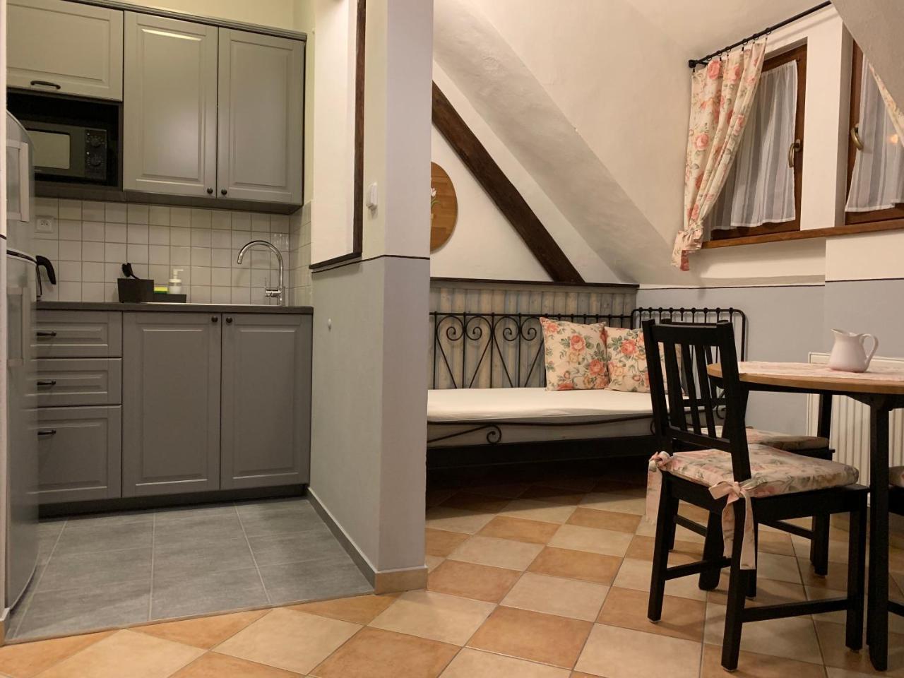 Pension Amadeus & Apartments Český Krumlov 外观 照片